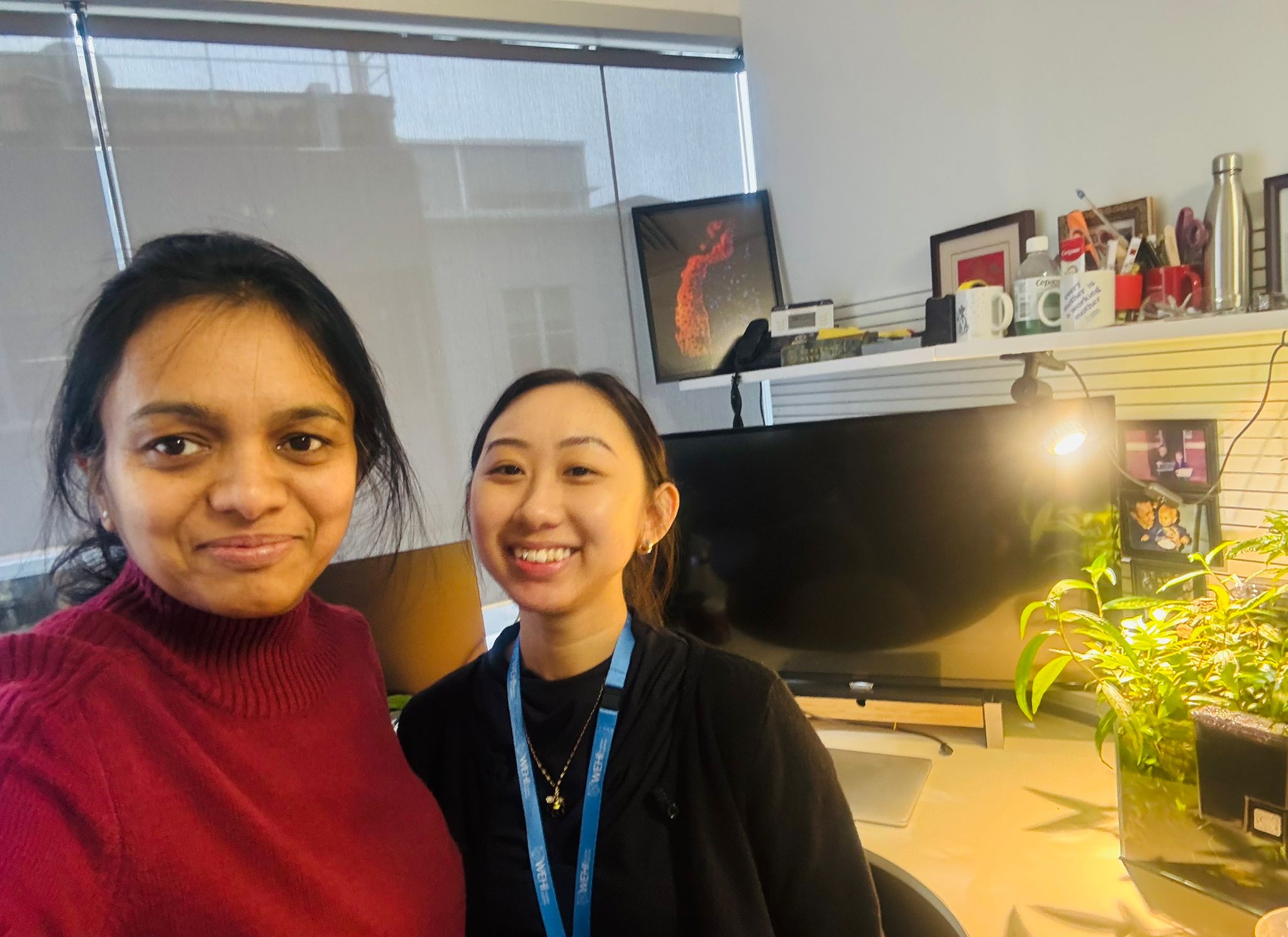 You are currently viewing WEHI InSPIRE Internship Experience