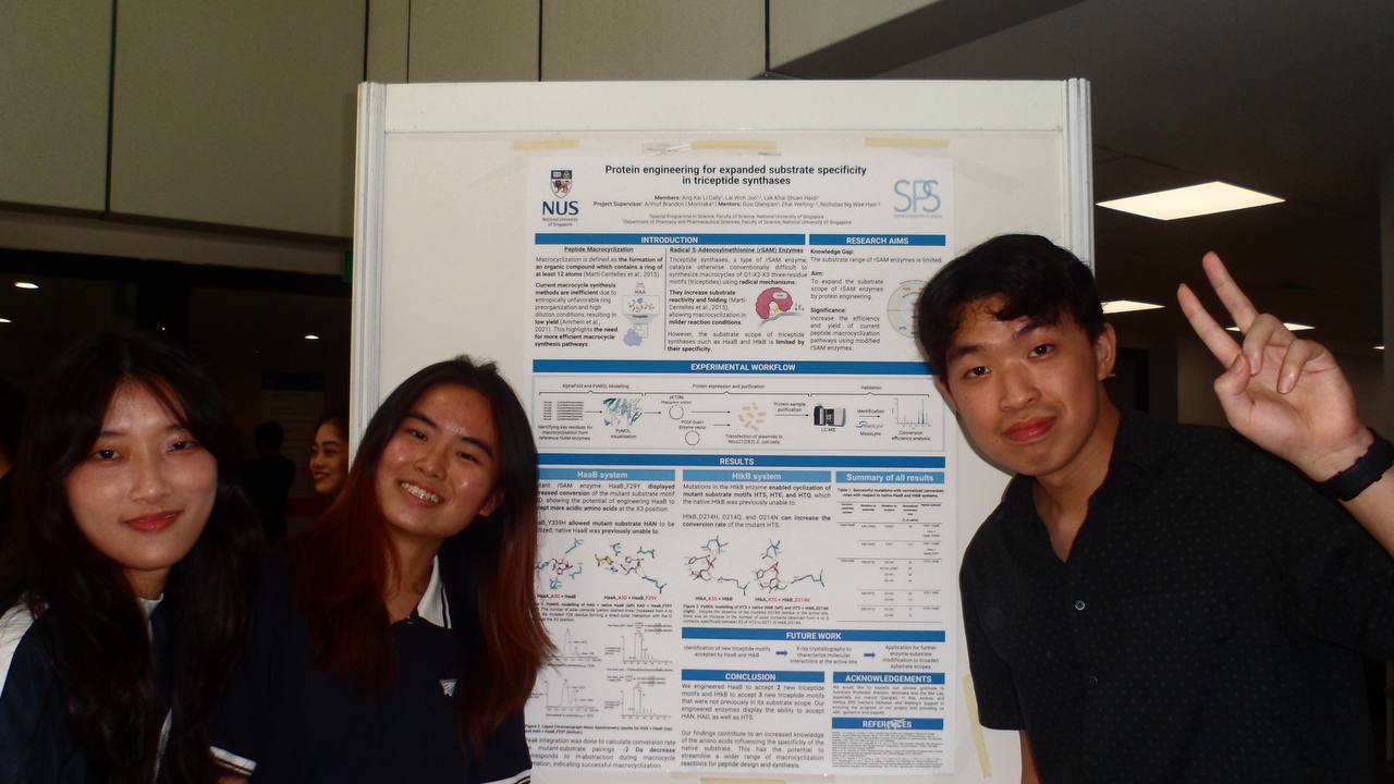 Read more about the article From Classroom to ACS Catalysis: SPS Students Contribute to Engineering a New Class of Enzymes