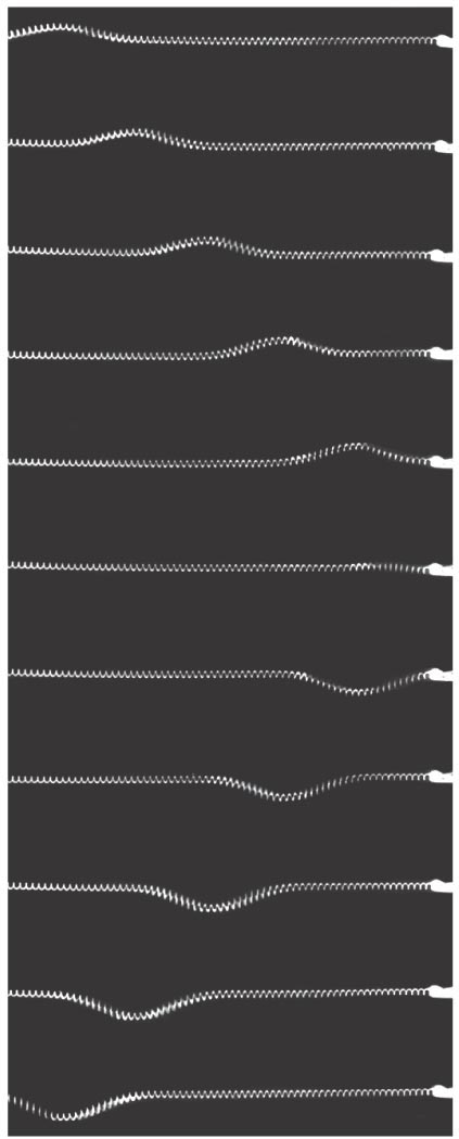 Schematic/photo illustrating wave reflection from a barrier.